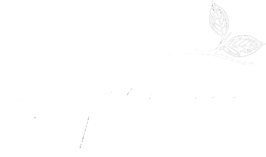 Sugar Tree Cosmetics